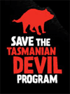 Save the Tasmanian Devil program